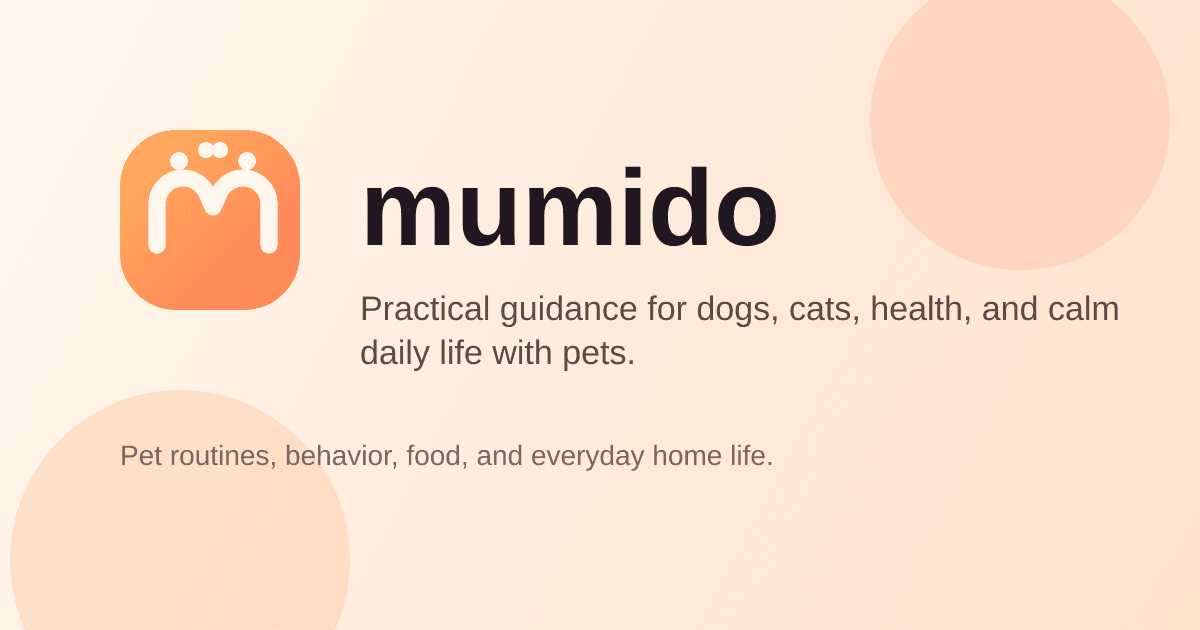 Oven temperature basics